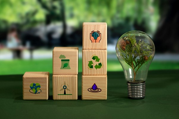 Sustainable Development Imperative