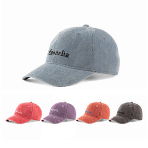 casquette de père
