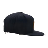 snapback4
