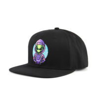 snapback2