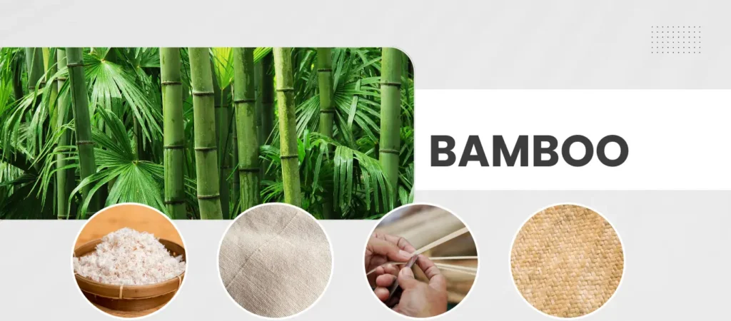 Bambú