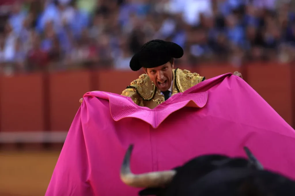 bullfighter