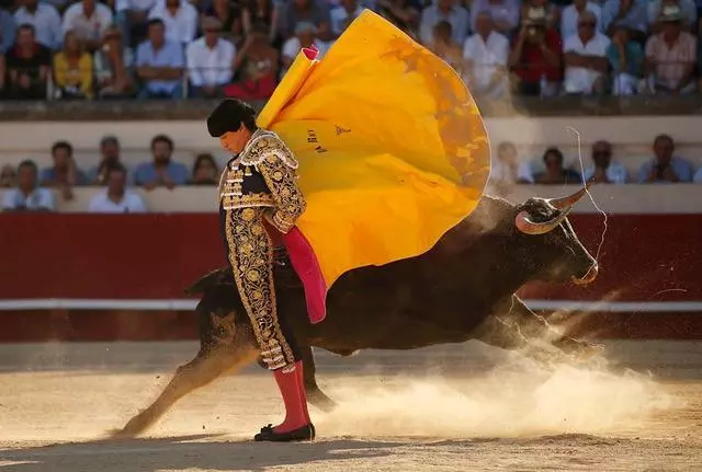 bullfighter
