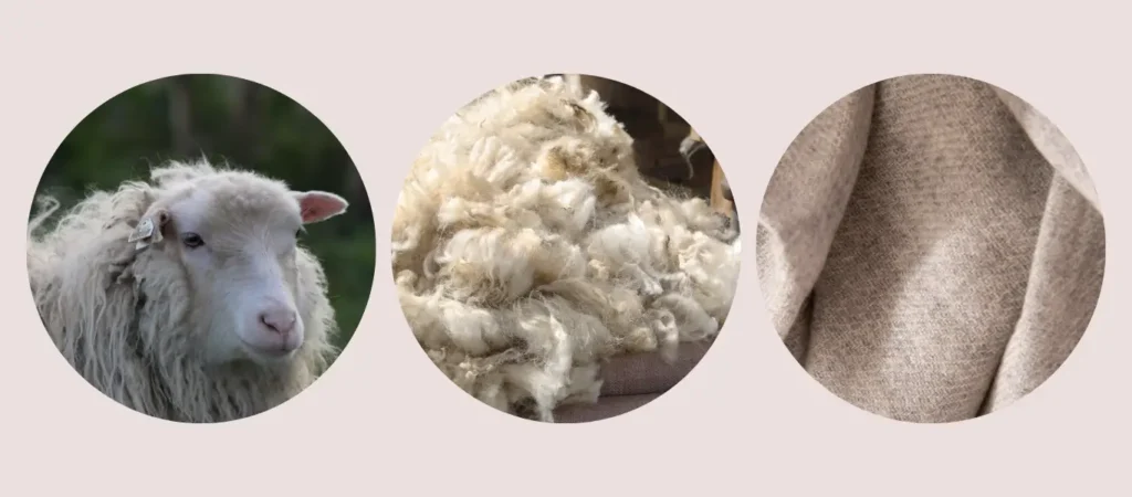 wool