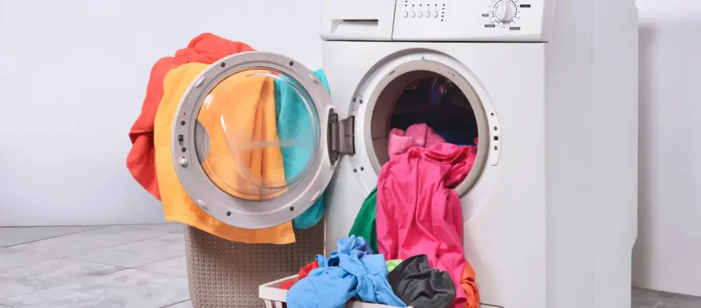 lavagem e cuidados com o velo